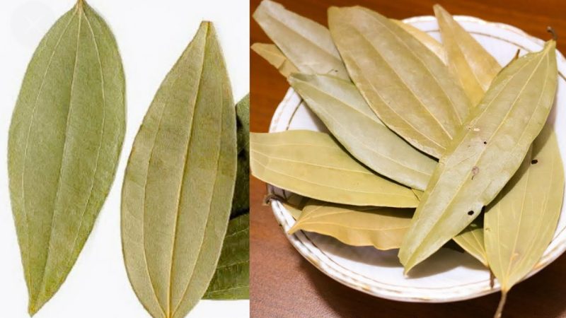 Biryani Leaf Benefits In Telugu For Hair,Kidney Stones , Joint Pains, Weight Loss