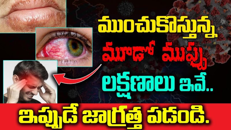Home remedies for cold and cough in telugu new tips