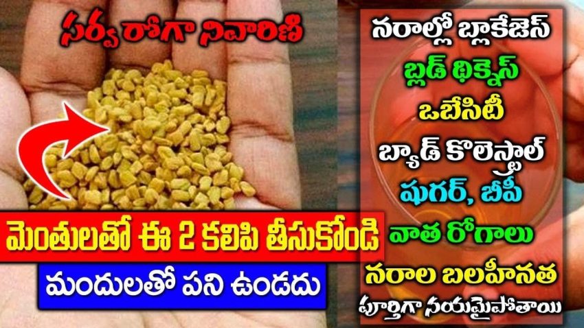Menthulu benefits in telugu for hair loss, for skin, for diabetes