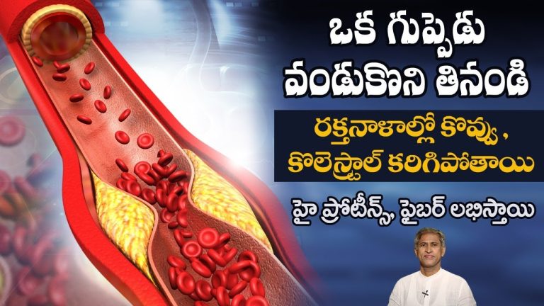 Protein and fibre rich foods in telugu