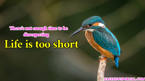 life is too short quotes images