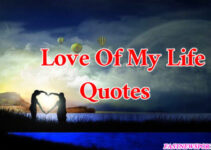 Love Of My Life Quotes!2022